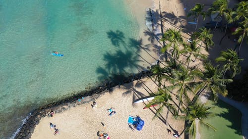 People Enjoying The Beach