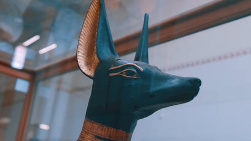 Anubis Statue on Display