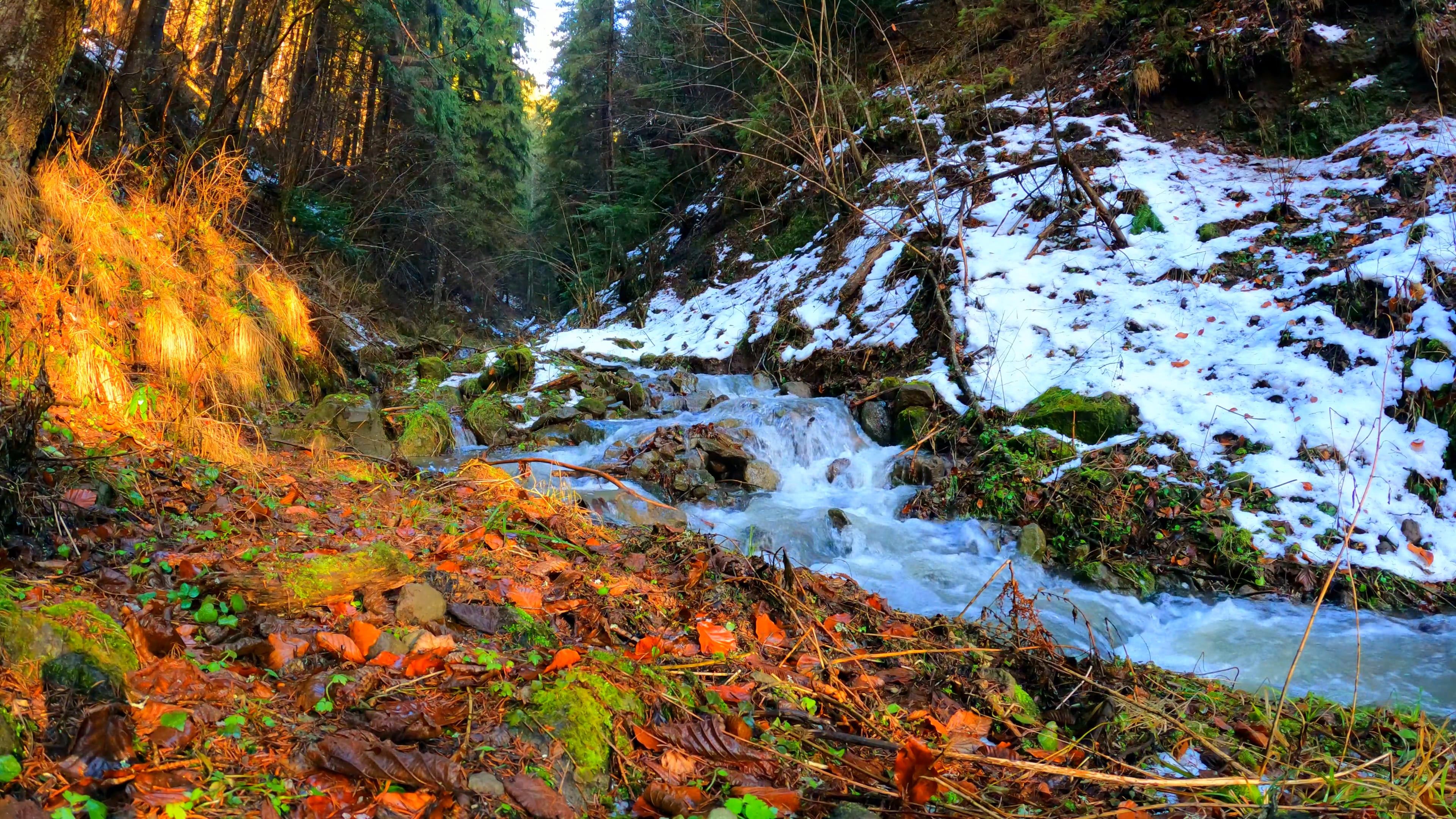 Water Flowing in a Stream Free Stock Video Footage, Royalty-Free 4K ...