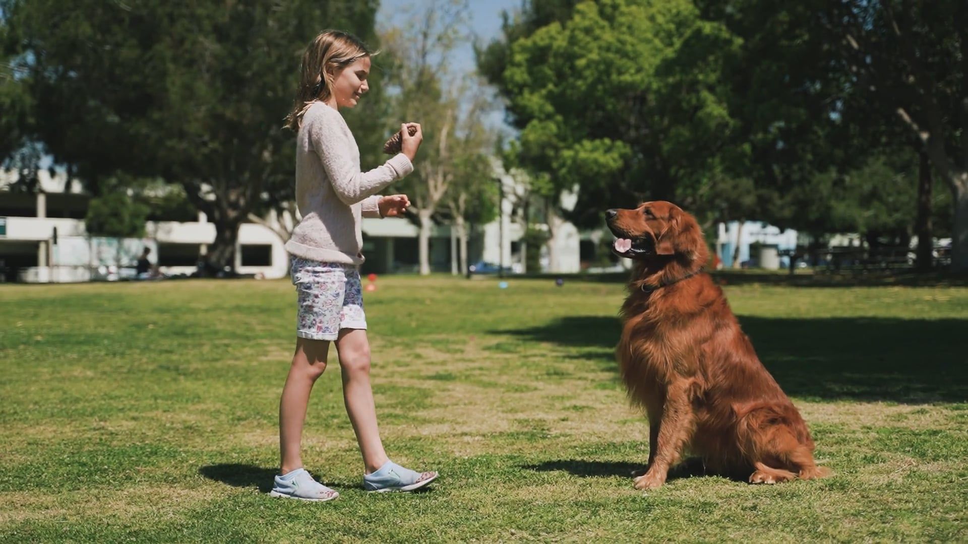 Pet Trainer video
