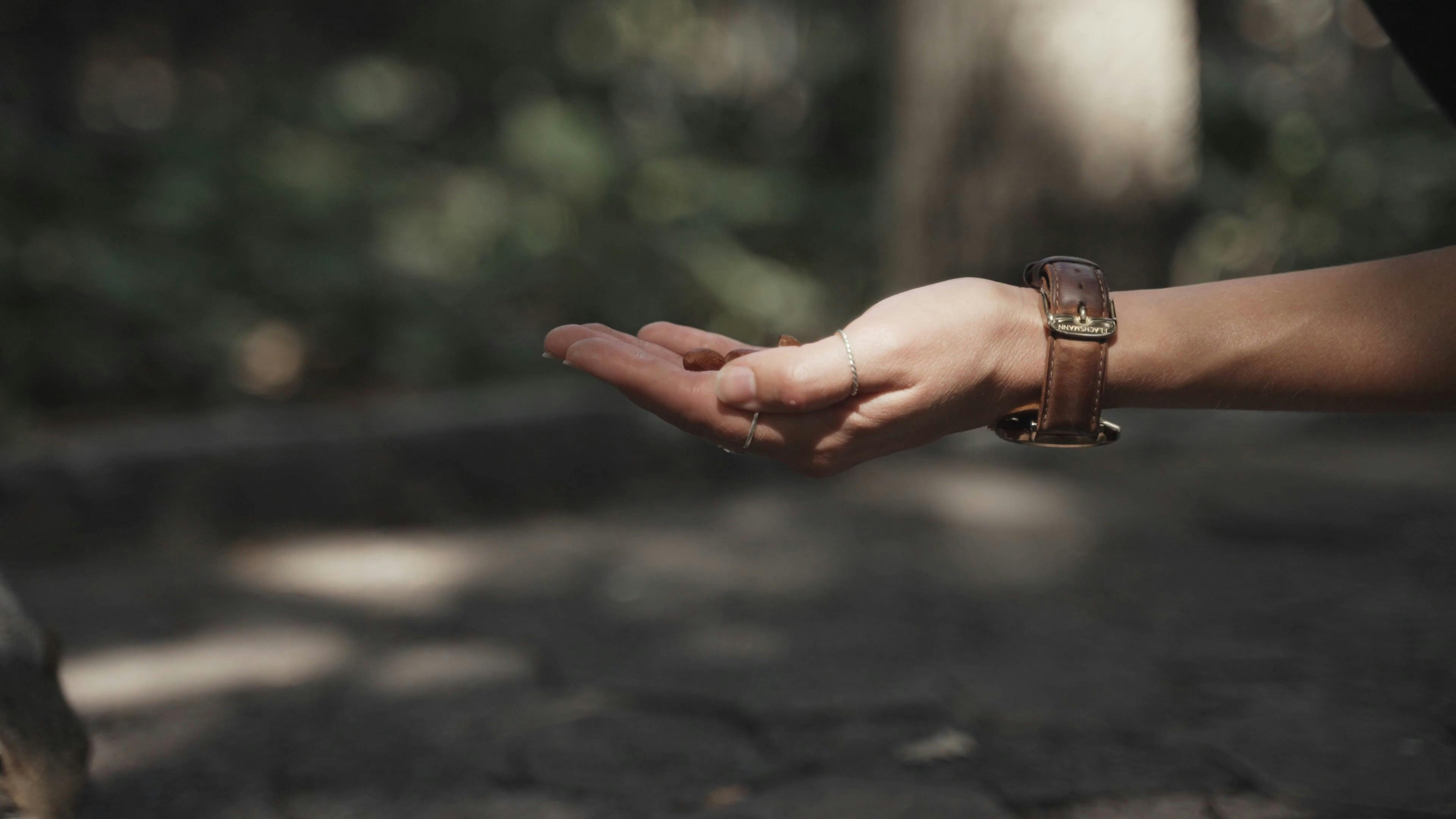 Video by Taryn Elliott