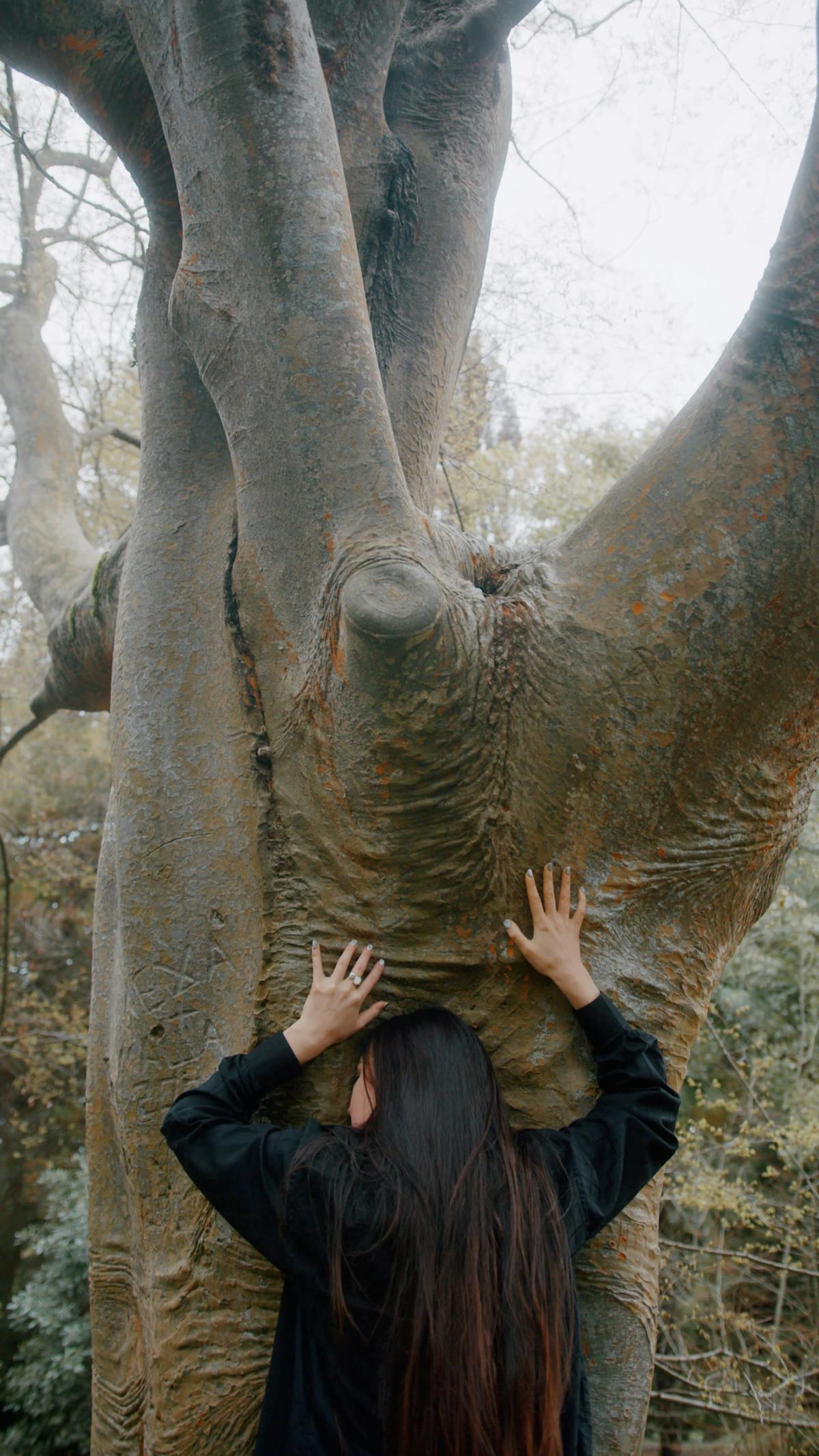 Woman With Big Butts Videos, Download The BEST Free 4k Stock Video