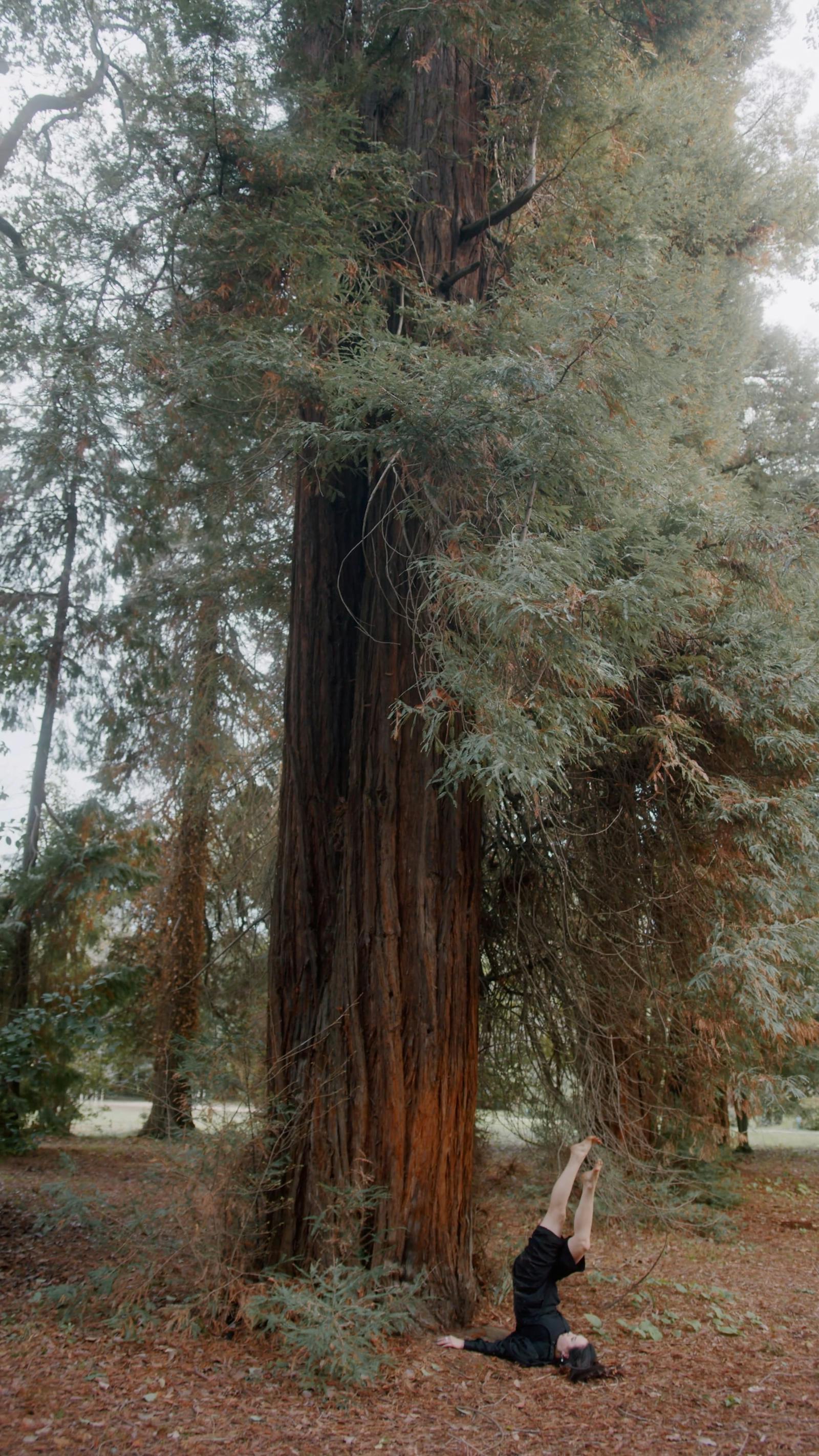 Japanese Naked Girl Videos, Download The BEST Free 4k Stock Video