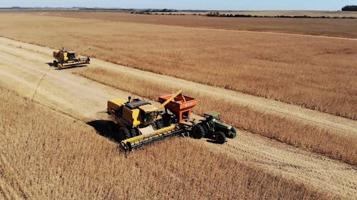 Drone Footage of a Combine Harvester Harvesting on a Soya Beans