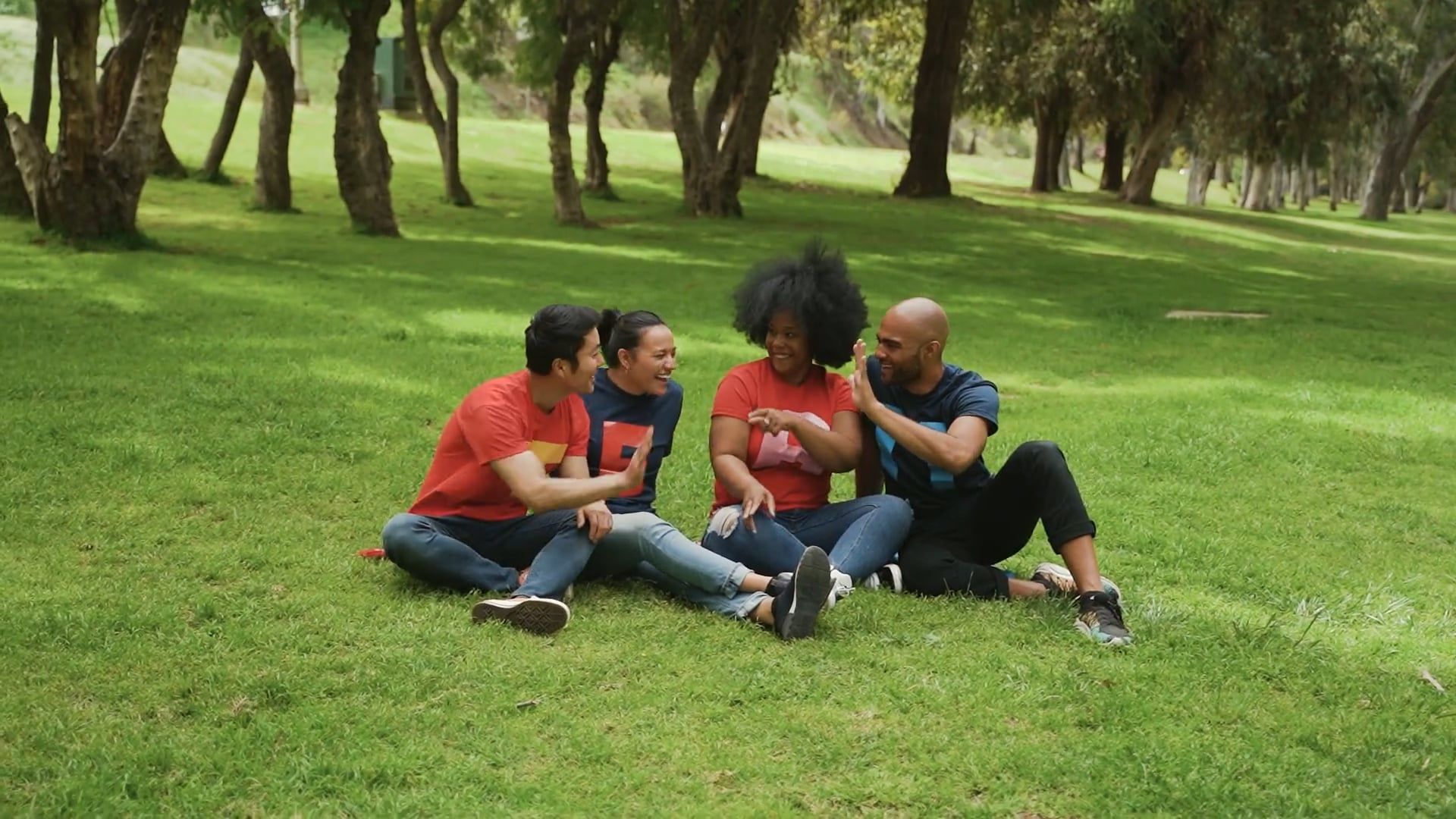 Video by RDNE Stock project