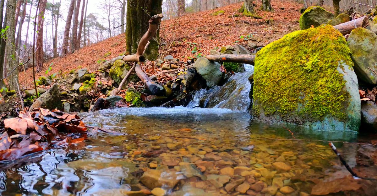 Close Up Stream Close Up Video of a Stream Free Stock Video Footage, Royalty-Free 4K ...