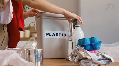 Person Sorting Recyclable Waste