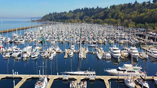 An Aerial Footage of the Shilshole Bay Marina