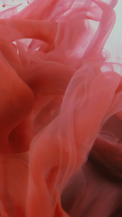 Pink Liquid Paint in Motion