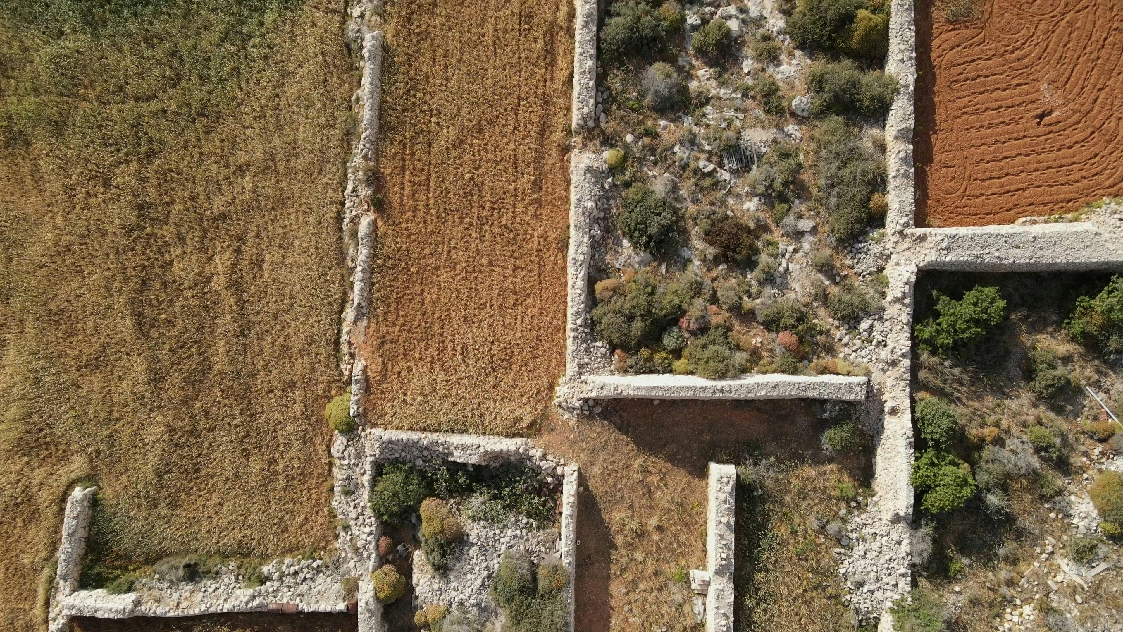 Myrsky Malta Farms Zlta Videos, Download Free 4k Stock Video Footage