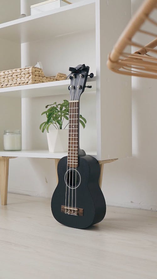 A Guitar Behind a Wooden Shelf