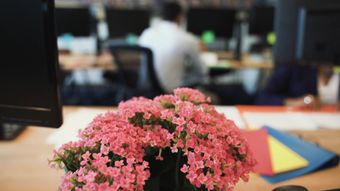 企业宣传视频素材视频素材视频素材