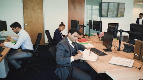 People Working on Office using Computer