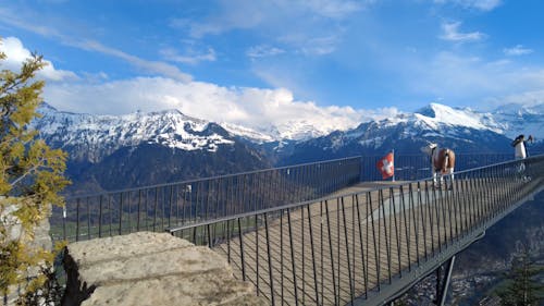 Time-Lapse of People on a Viewing Deck 