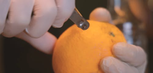 Person Peeling the Orange using Peeler