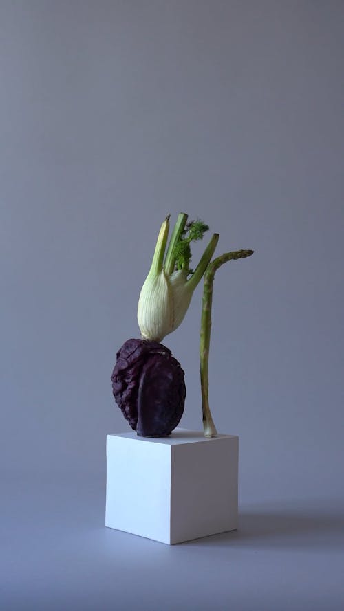 Vegetables In Geometric Setting