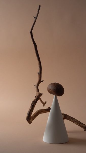 木疙瘩控制动画播放素材视频素材