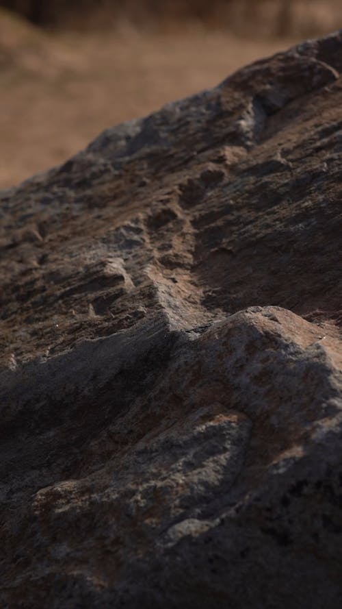 Placing A Globe Over A Rock 