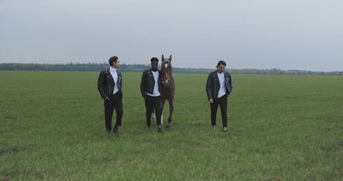 People Walking Together with Horse