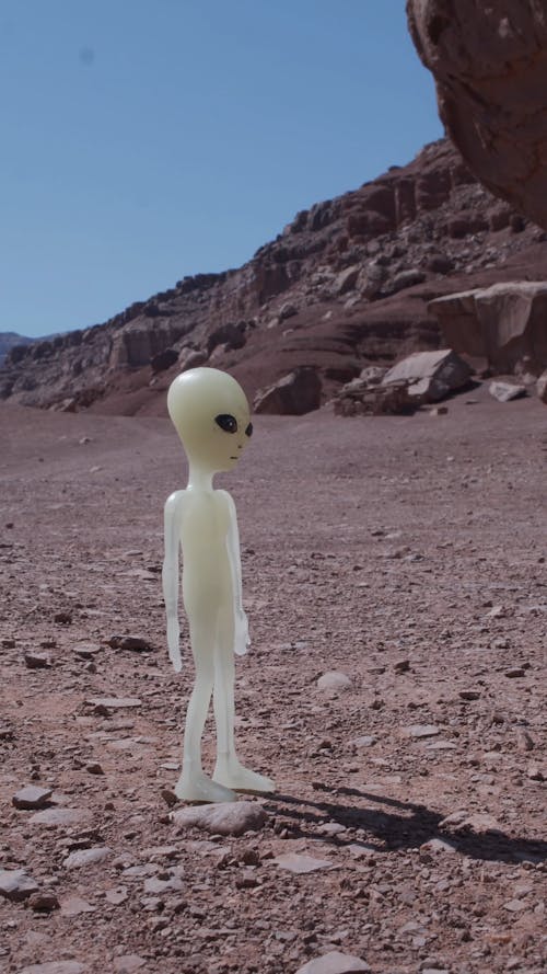 An Alien Figure Outdoors