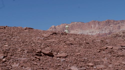 Video of an Alien Figure in Mars