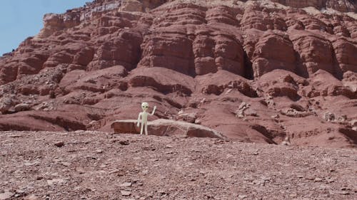 An Alien Figure on Dry Land