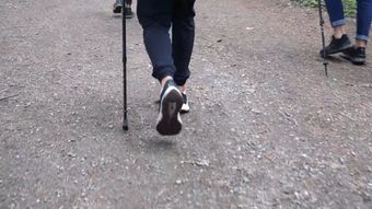 户外散步免费下载高清视频视频素材免费下载视频素材