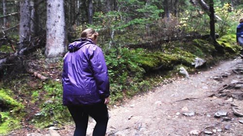 People Hiking in the Woods