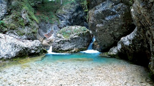 Forest River Flowing Through Rocks 