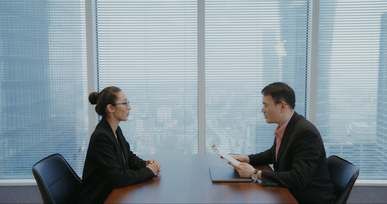 Video Brief