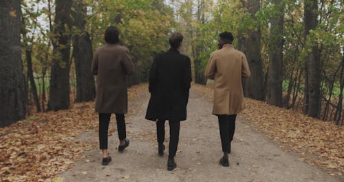 Three Men Walking on the Road
