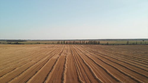 Drone Footage of a Field