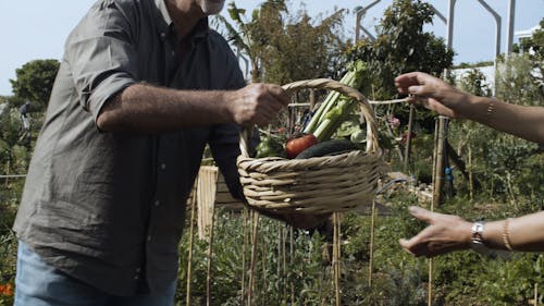 Elderly Man Giving a Basket of Vegetables to the Elderly Woman