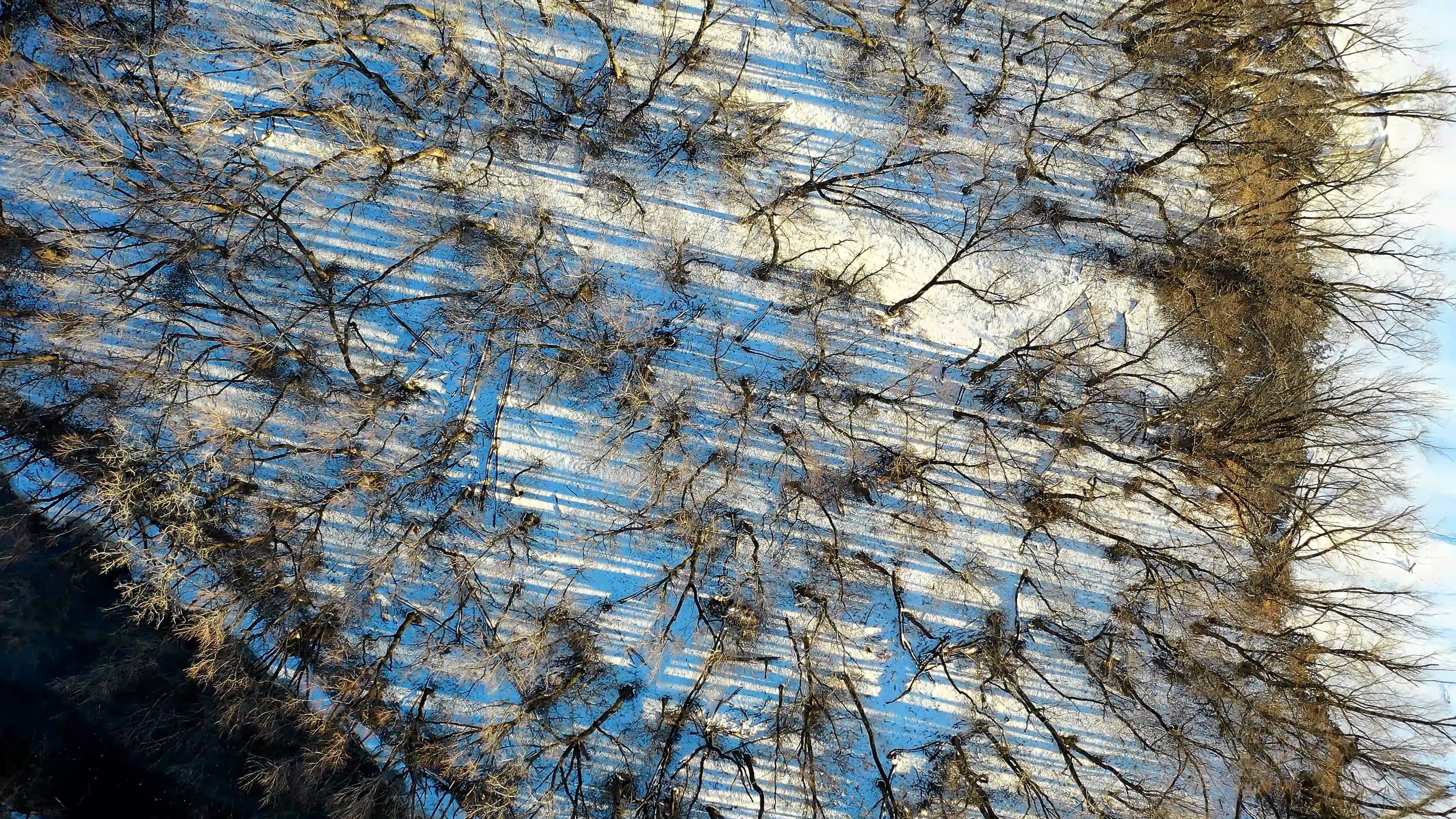 An Aerial Footage of a Snow Covered Forest and a Lake Free Stock Video ...