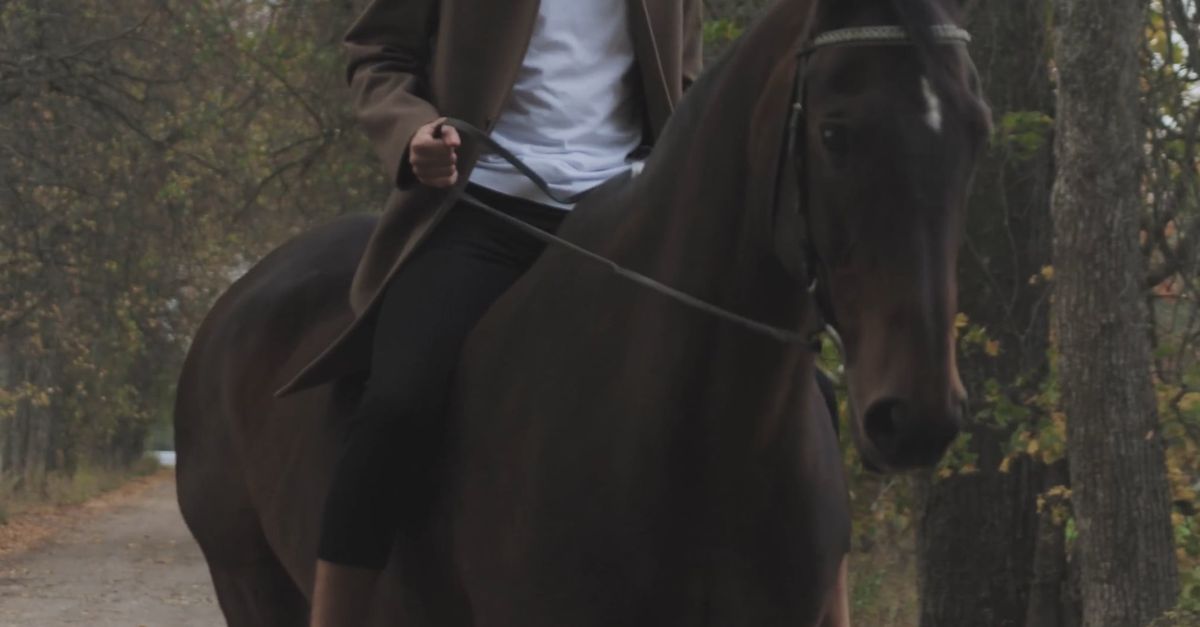 Operate Man Riding A Man Riding a Horse Free Stock Video Footage, Royalty-Free 4K & HD ...