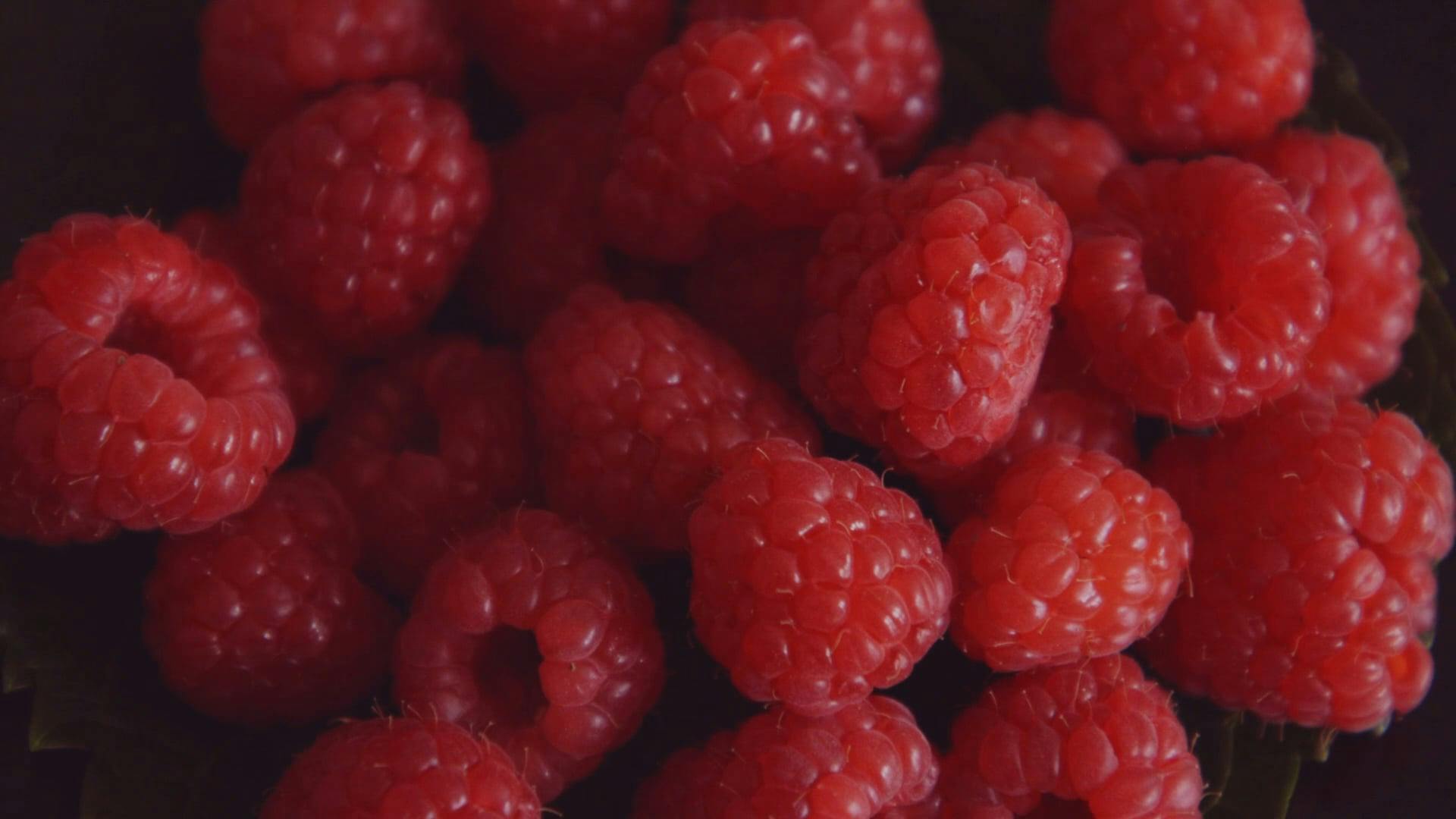 CloseUp Video of Raspberries · Free Stock Video