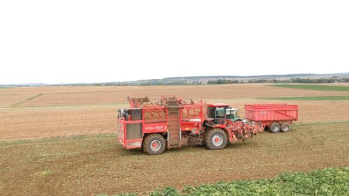 A Truck Harvesting Crops