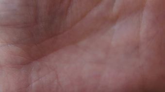 皱纹免费下载免费下载视频素材