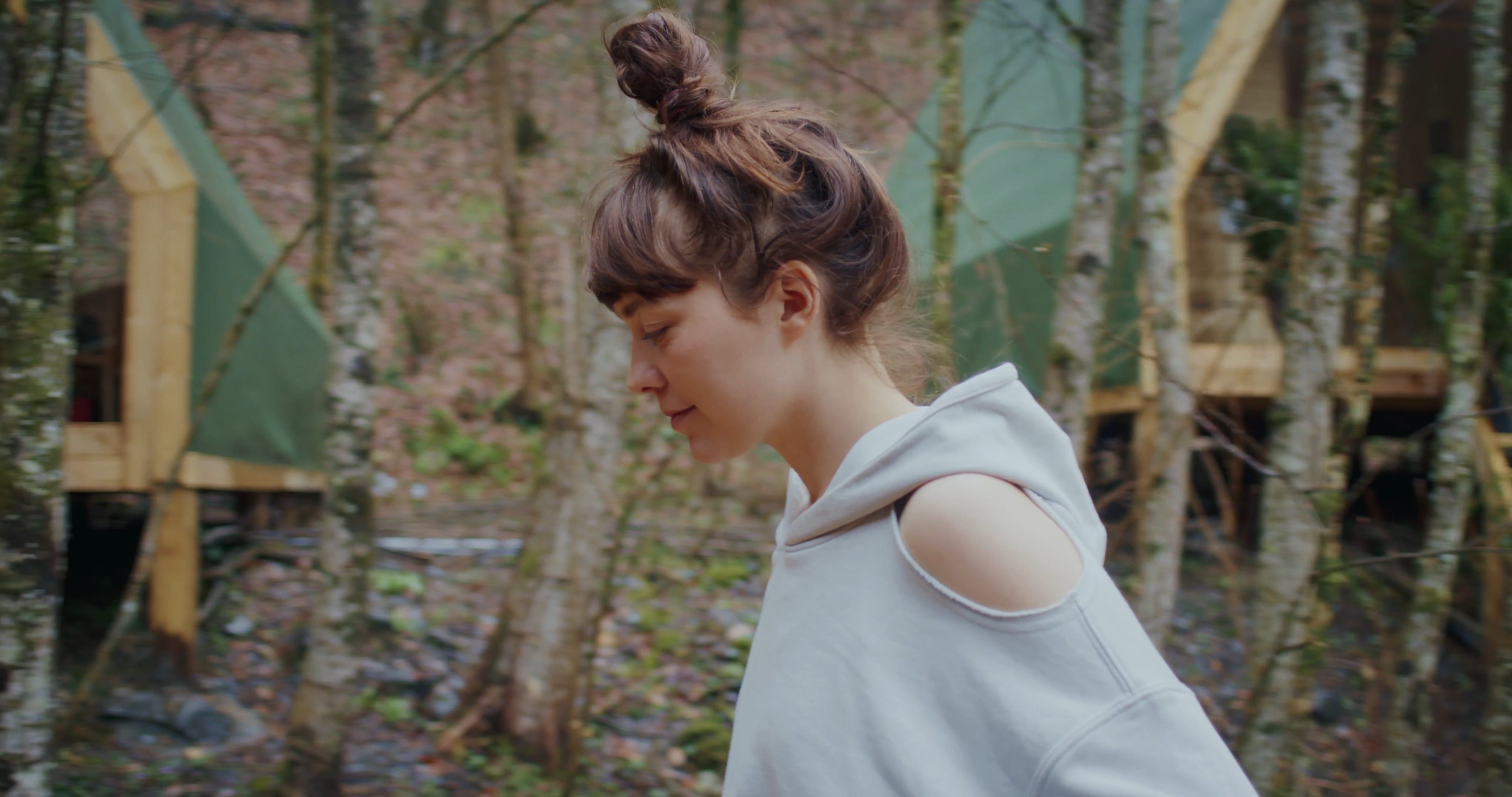 Living In The Woods Videos, Download The BEST Free 4k Stock Video ...