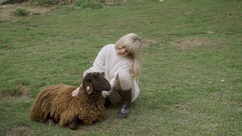 A Woman Petting a Sheep