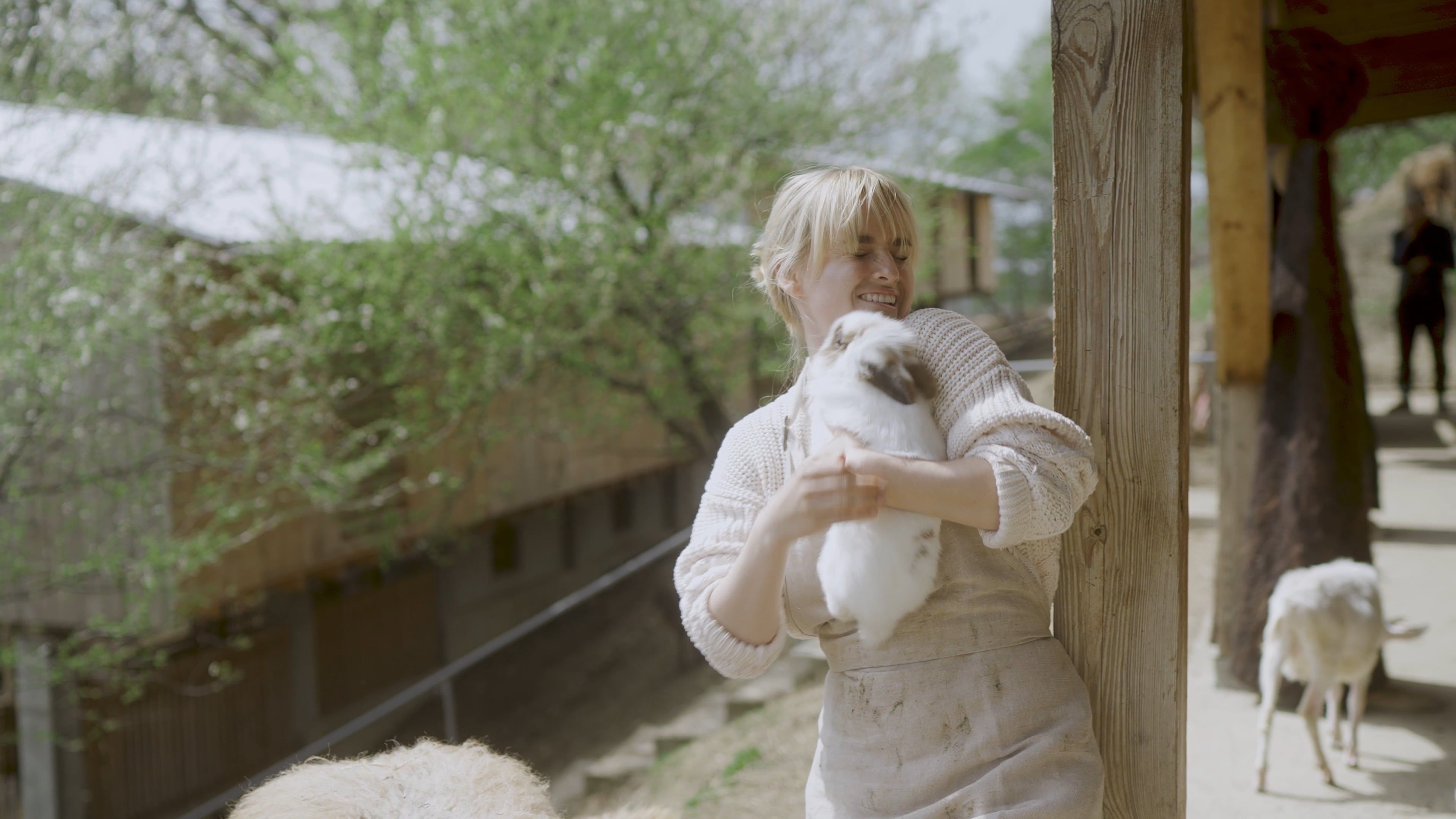 Woman Holding a Rabbit Free Stock Video Footage, Royalty-Free 4K & HD ...