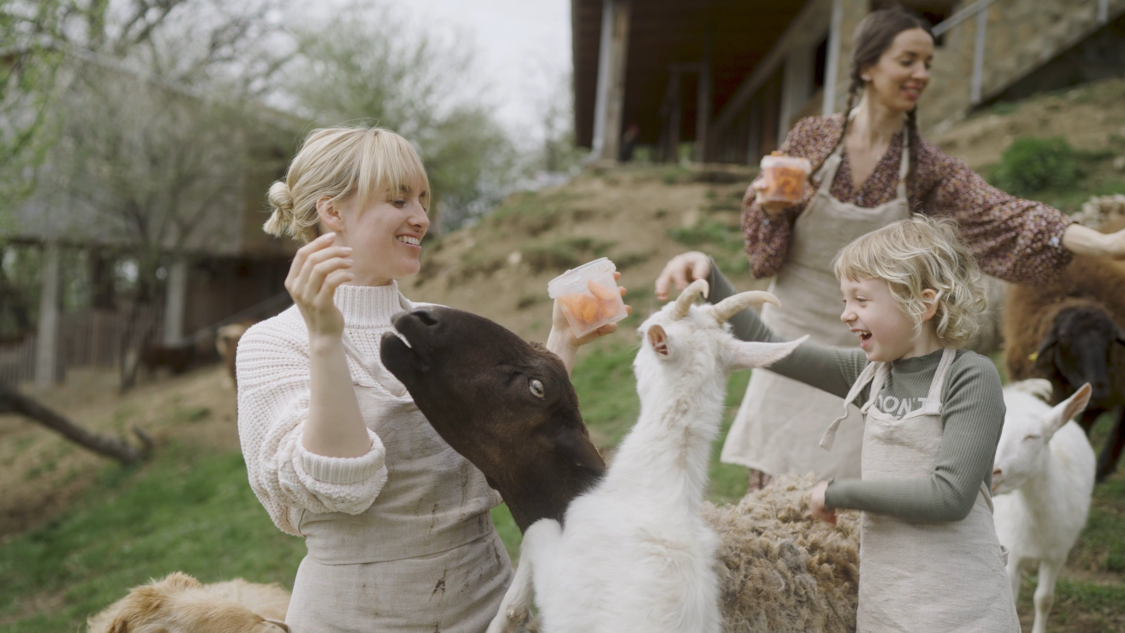 Women With Animals Videos, Download The BEST Free 4k Stock Video