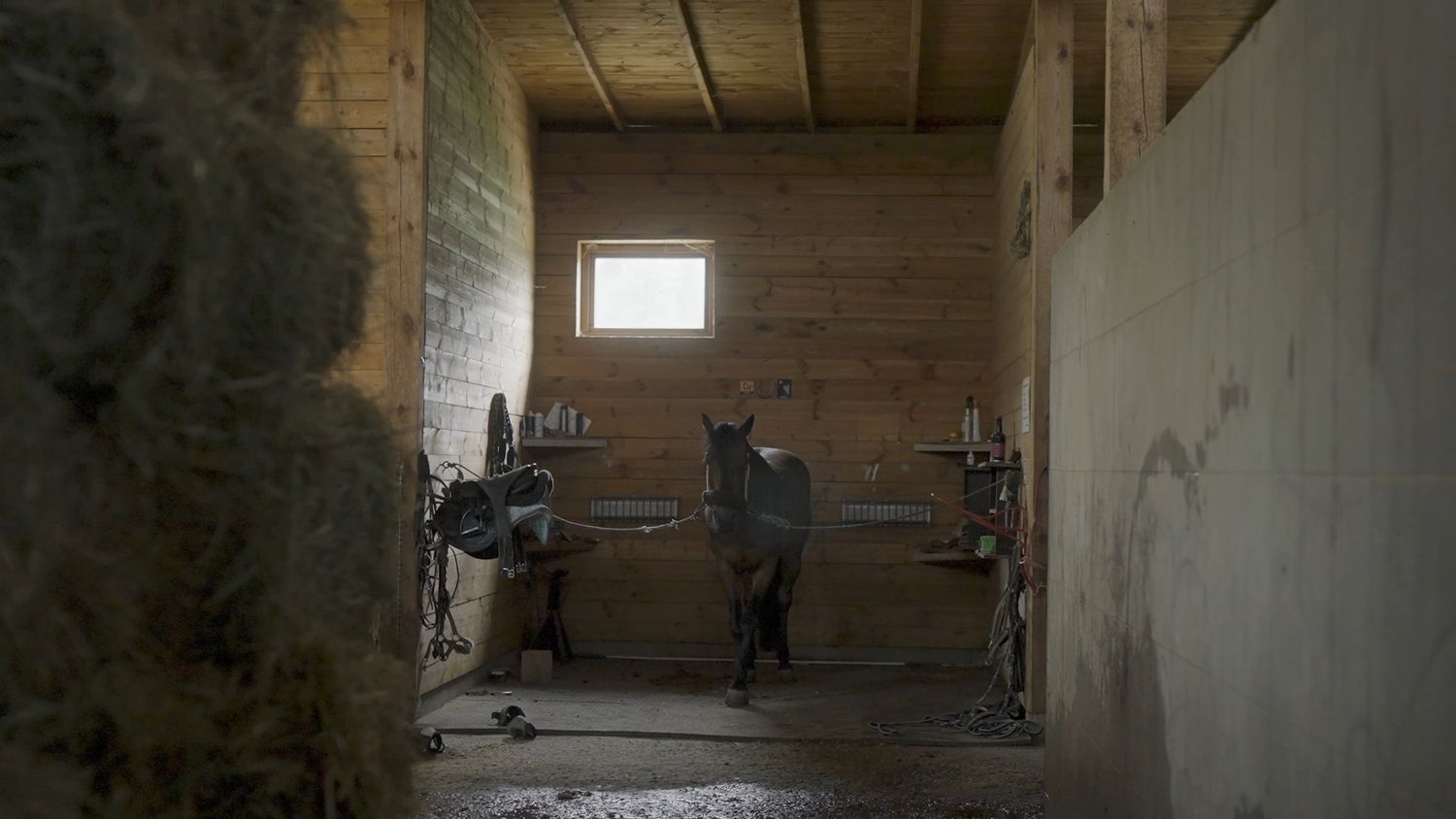 Barn Interior Videos, Download The BEST Free 4k Stock Video Footage ...