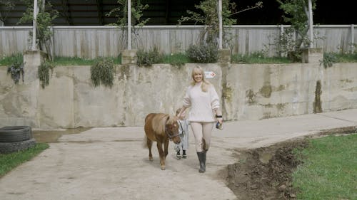 Woman Holding Horse