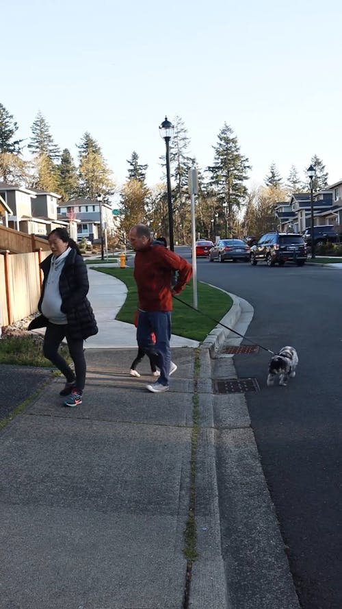 Family Walking together with Pet Dog