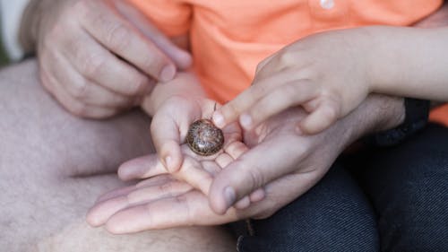 A Child Holding a Snail