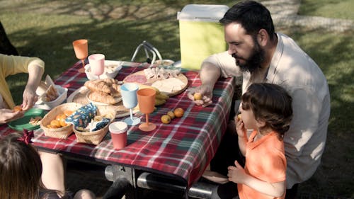 Family In a Picnic