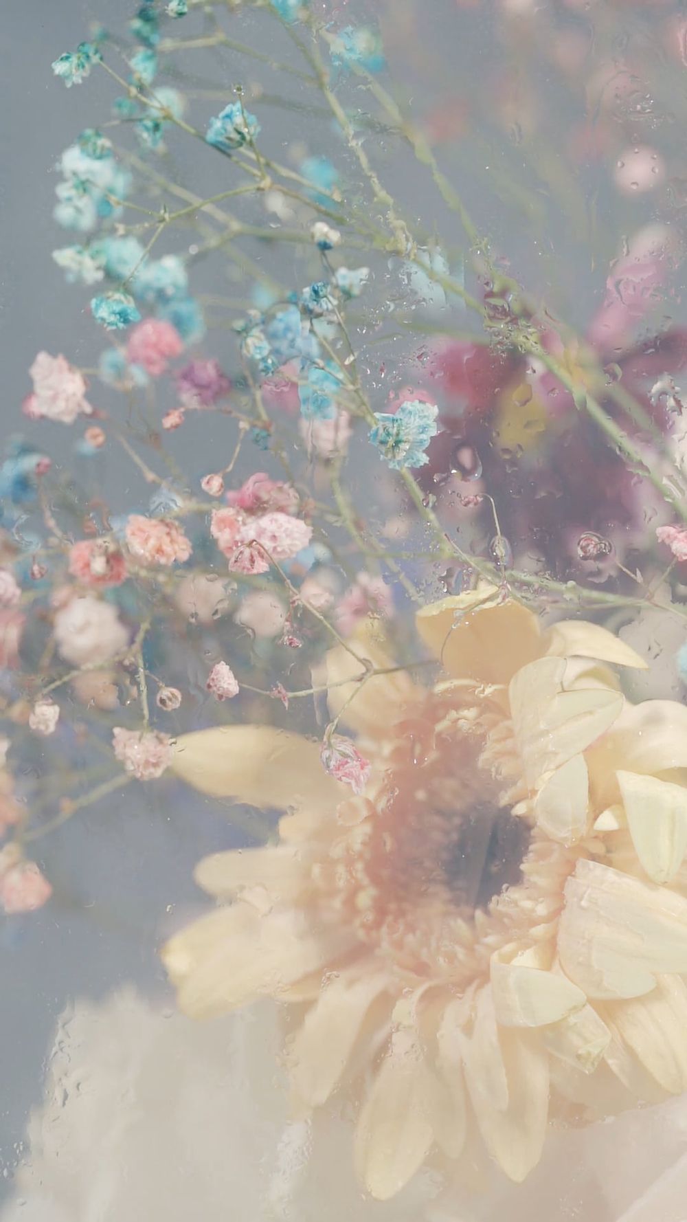 Free Stock Video Of Aesthetic Background Aesthetic Wallpaper Art free-stock-video-of-aesthetic-background-aesthetic-wallpaper-art