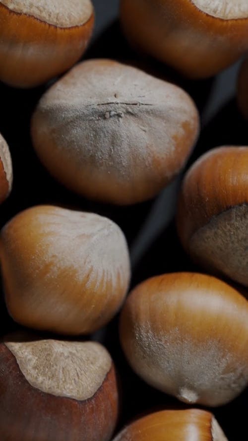 Close-up Video of a Hazelnuts