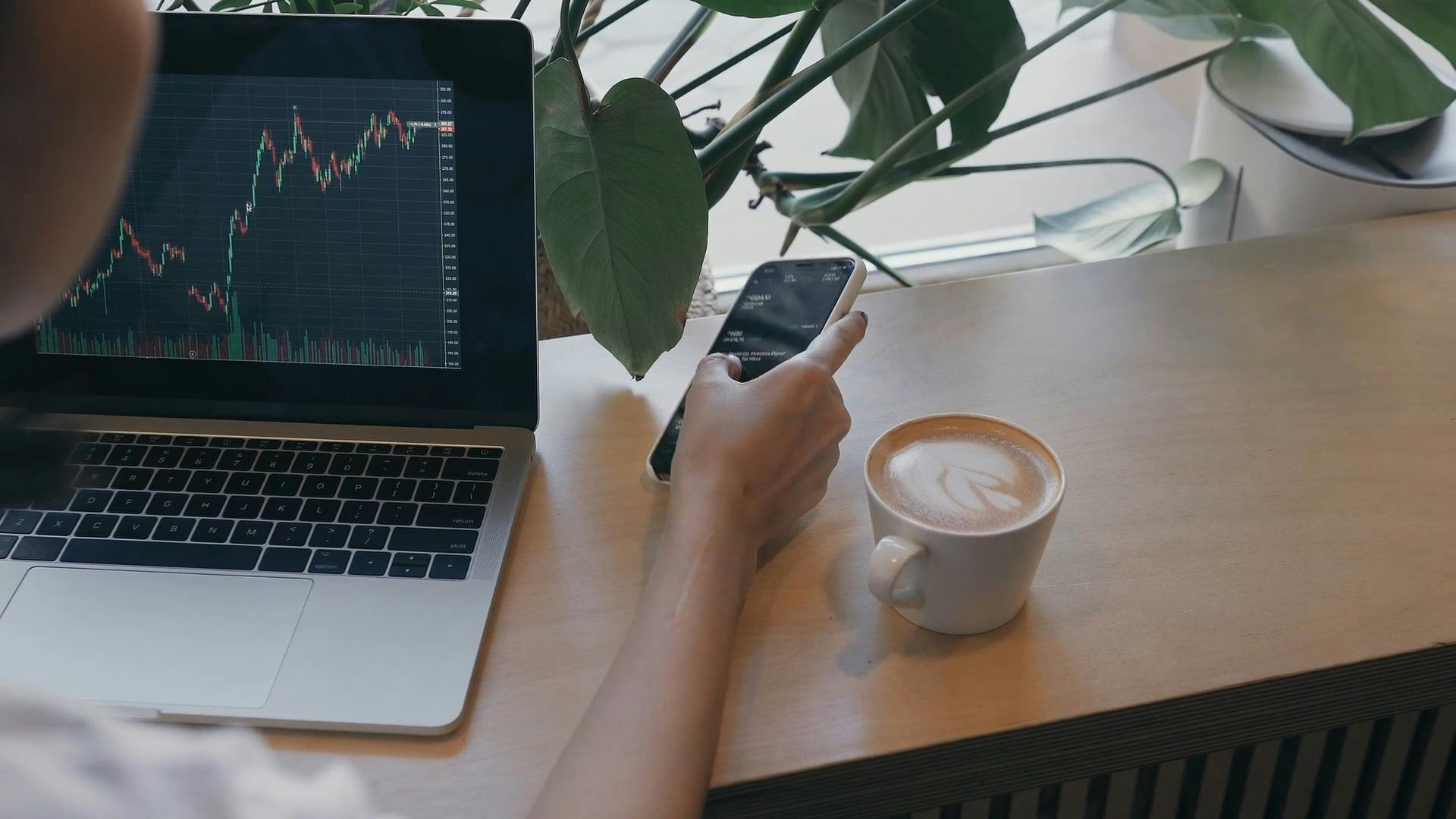 Efront Investment Cafe Videos, Download The BEST Free 4k Stock Video